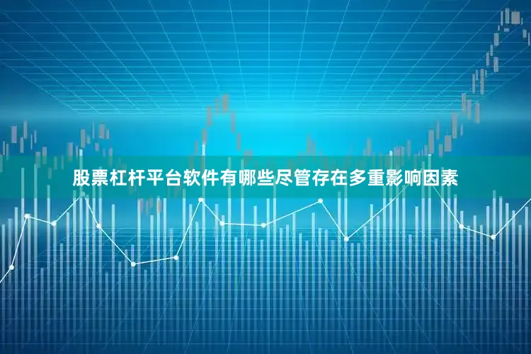 股票杠杆平台软件有哪些　　尽管存在多重影响因素