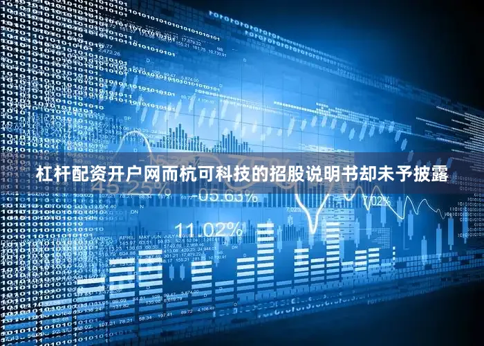 杠杆配资开户网而杭可科技的招股说明书却未予披露