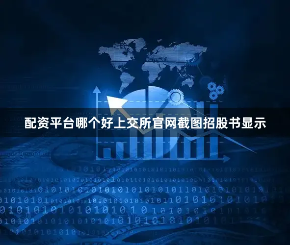 配资平台哪个好　　上交所官网截图　　招股书显示