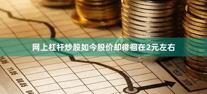 网上杠杆炒股如今股价却徘徊在2元左右